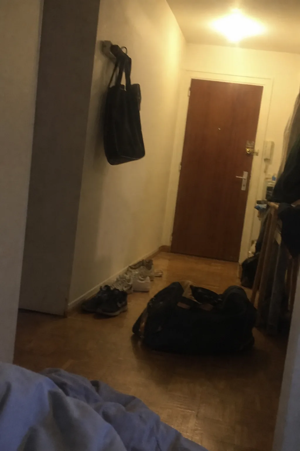 Entrée d'appartement avec sac de voyage et laisse accrochée