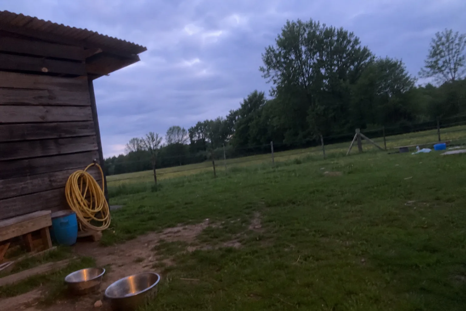 Grand terrain clôturé avec abri en bois et gamelles