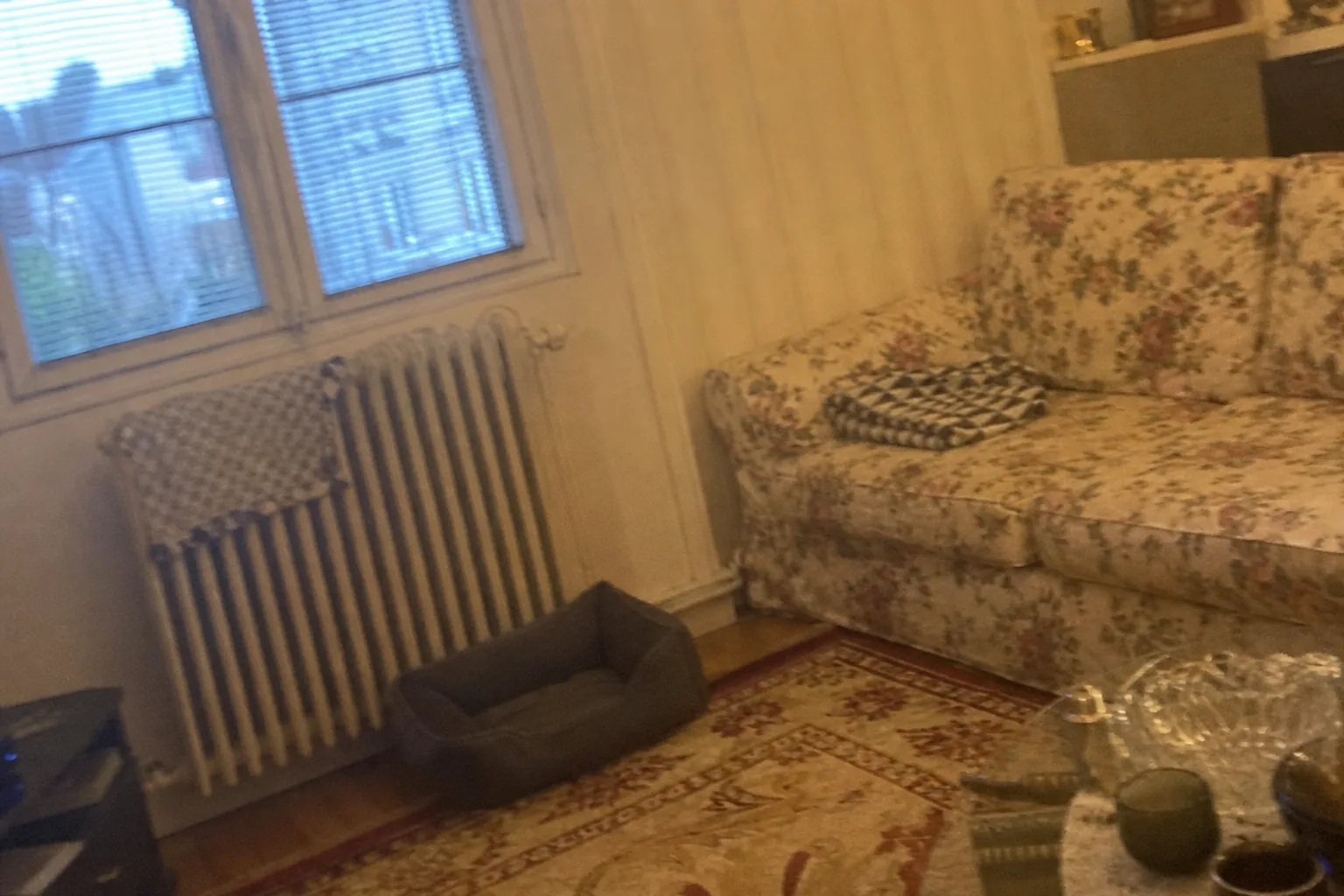 Salon avec panier pour chien près d'un radiateur