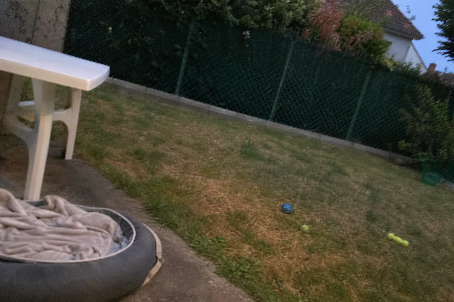 Jardin clôturé avec panier pour chien sur la terrasse