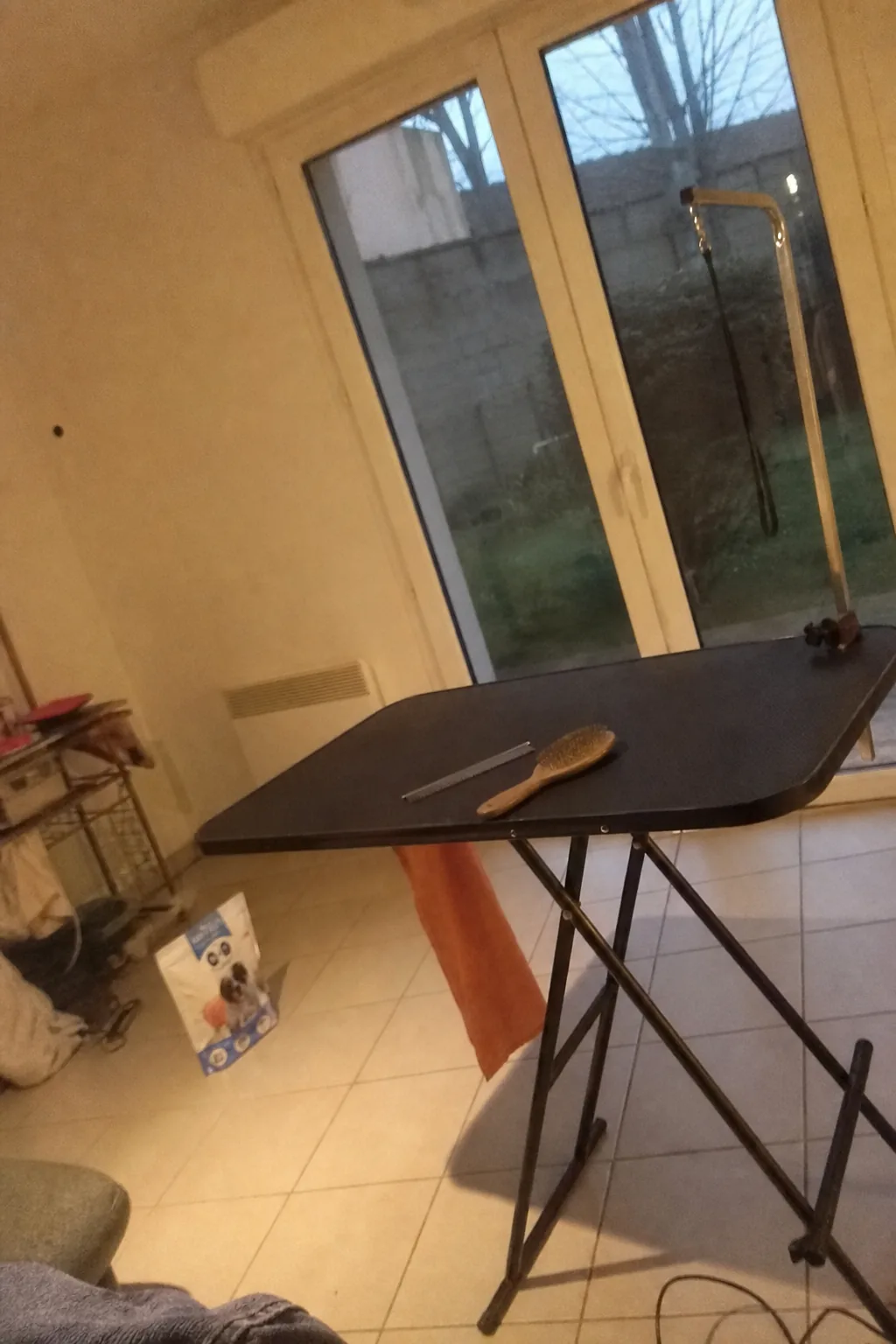 Table de toilettage avec brosses dans une pièce donnant sur un jardin