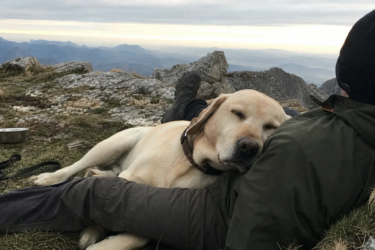 Un labrador couché contre son maître allongé dans un terrain rocheux de montagne, au petit matin