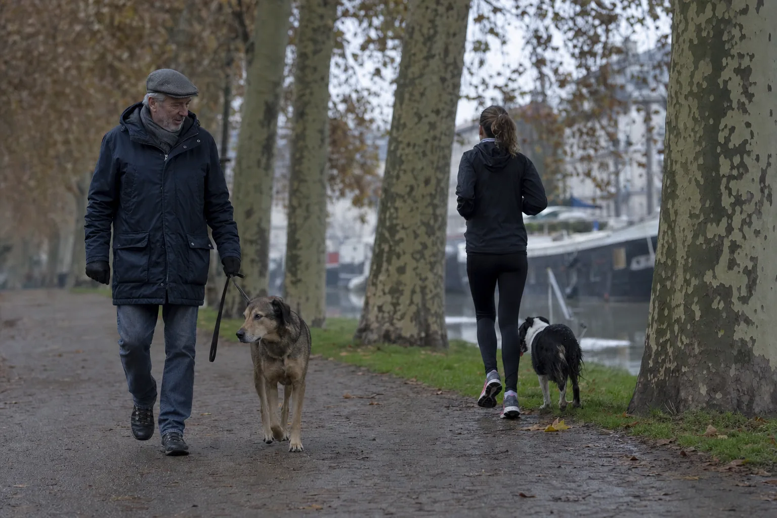 Sur un chemin de halage bordé de platanes, un matin gris d’automne, un chien croisé fauve marche calmement en laisse à côté d’un homme en parka et casquette, tandis qu’une joggeuse et son chien noir et blanc s’éloignent devant une péniche amarrée
