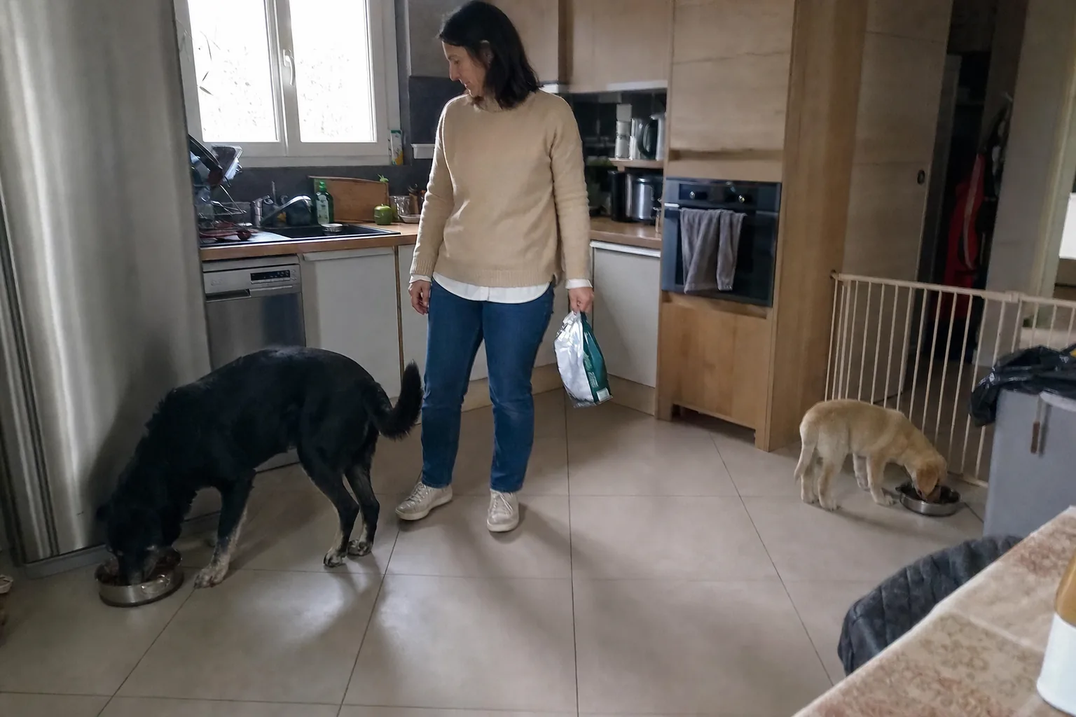 Dans une cuisine de pavillon, un chien croisé noir au museau grisonnant mange dans sa gamelle près du réfrigérateur pendant qu’un chiot beige mange dans la sienne à l’autre bout de la pièce, près d’une barrière, une femme debout entre les deux tenant le sac de croquettes
