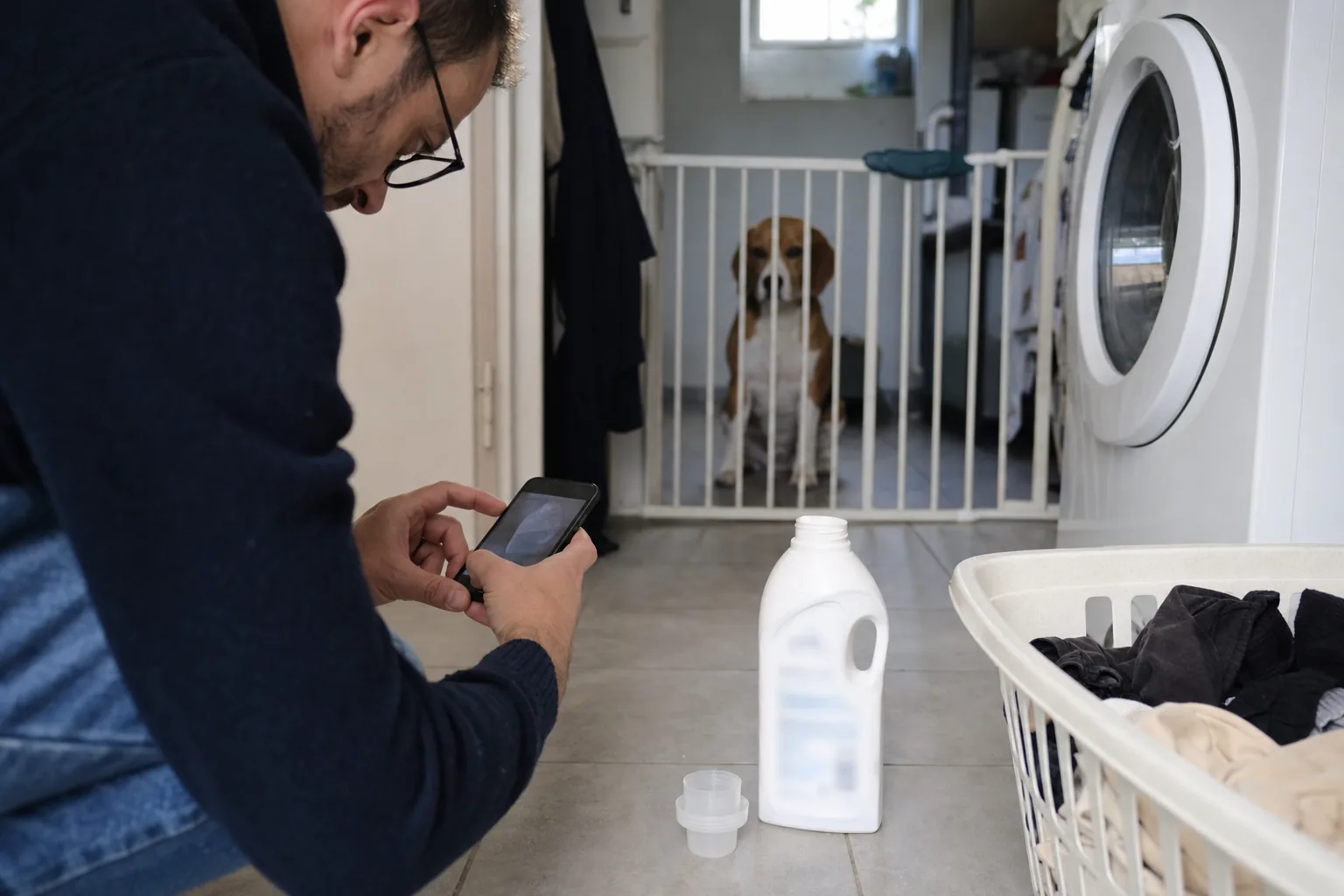 Dans une buanderie, un homme accroupi photographie avec son téléphone l’étiquette d’un flacon de lessive posé au sol, un beagle assis derrière une barrière