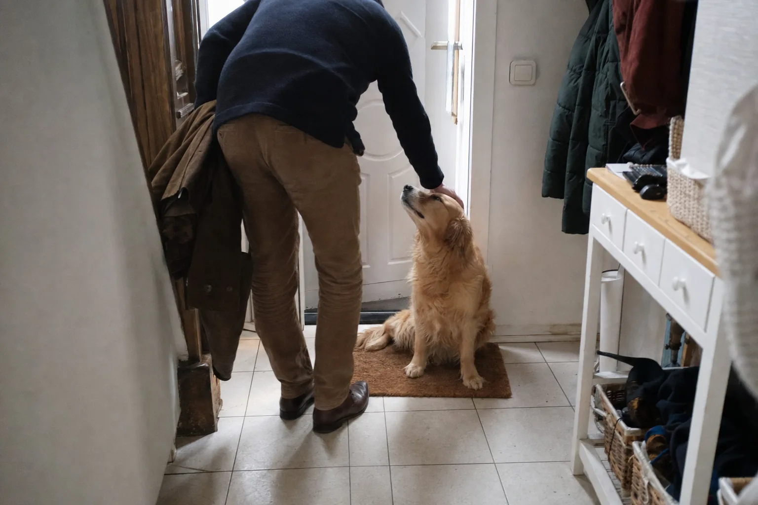 Golden retriever assis calmement sur le paillasson pendant qu’un invité vu de dos se penche pour le caresser