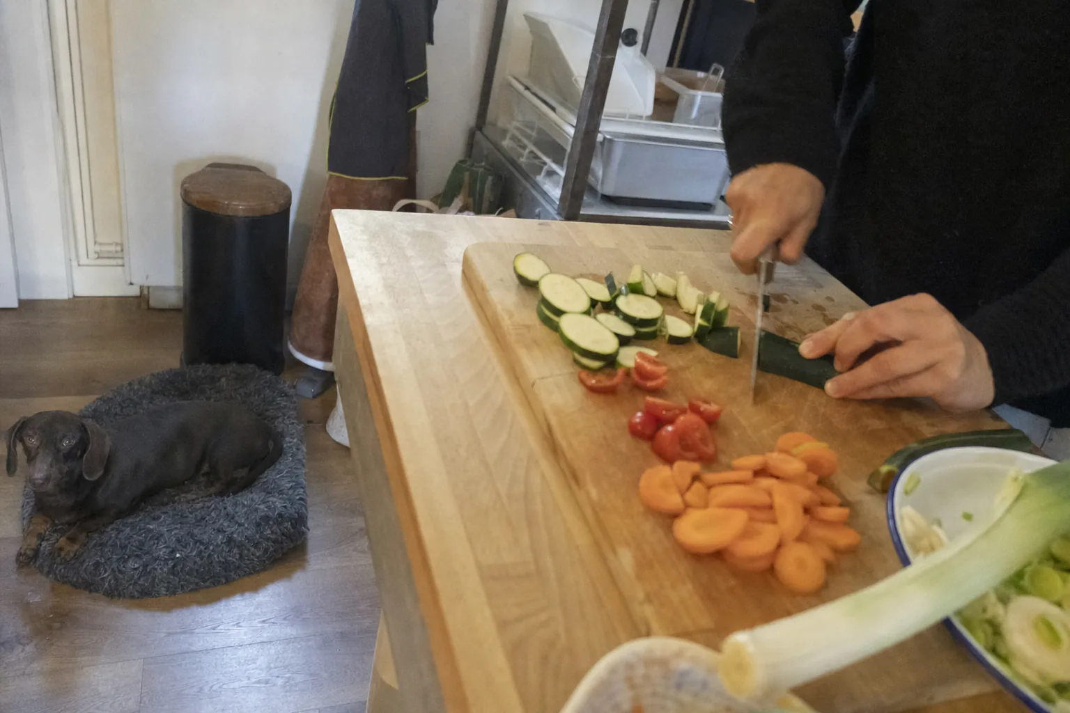 Teckel couché sur son tapis pendant que des mains coupent des légumes sur le plan de travail