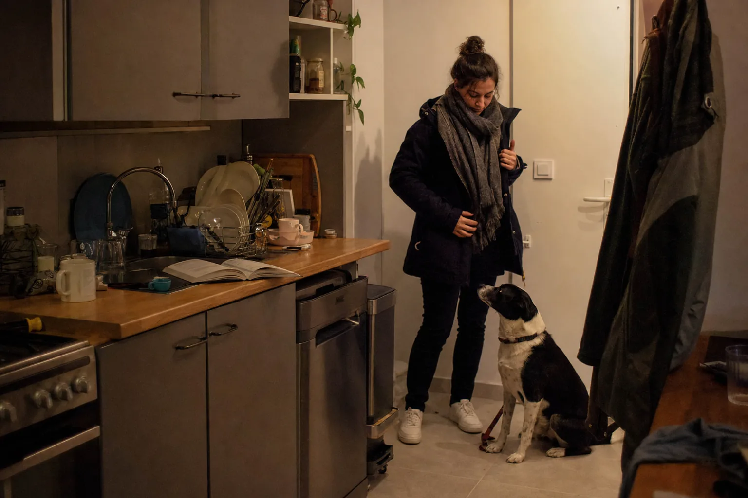 Femme qui enfile son manteau dans une cuisine le soir, une laisse à la main, chien croisé noir et blanc assis à ses pieds qui la regarde