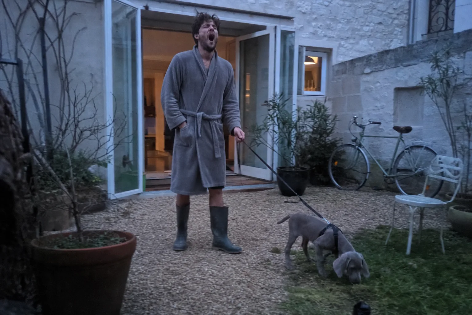 À l’aube, dans la petite cour en gravier d’une maison de ville, un homme en peignoir gris et bottes en caoutchouc bâille, la laisse à la main, pendant qu’un chiot braque de Weimar gris renifle l’herbe près d’un vélo et d’une chaise de jardin.