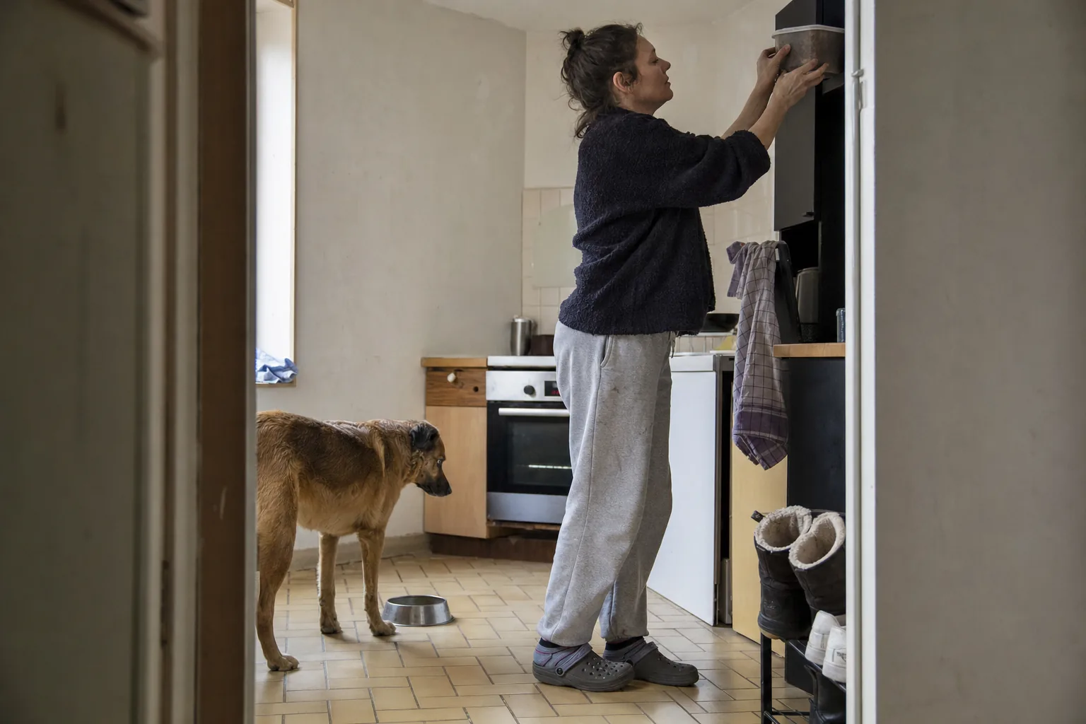 Une femme range une boîte de ration près de son chien dans une cuisine familiale