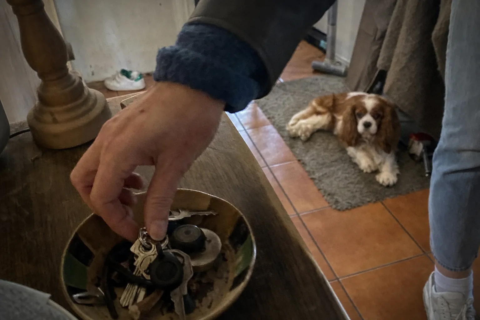 Main qui prend un trousseau de clés dans l’entrée, cavalier king charles couché tranquille au fond