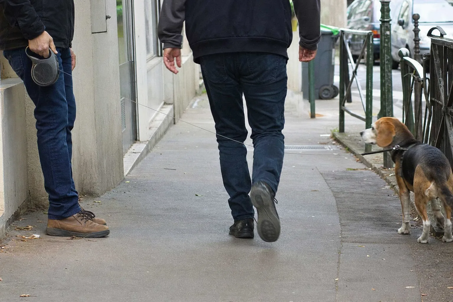 Cordon de laisse à enrouleur tendu en travers d’un trottoir entre un beagle et son maître, passant vu de dos