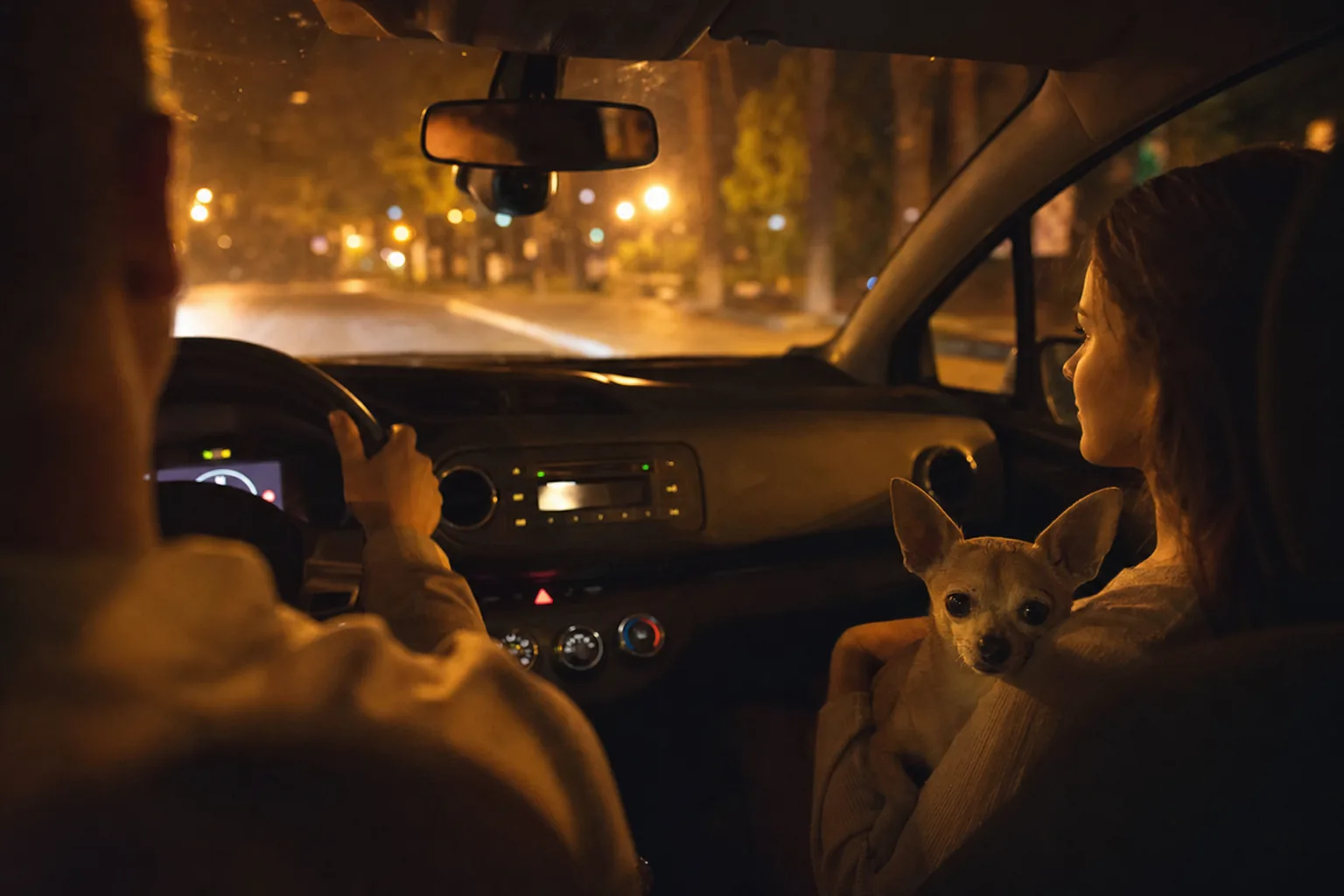 De nuit dans une voiture, une passagère tient contre elle un chihuahua, la main autour de sa poitrine, pendant que le conducteur roule en ville
