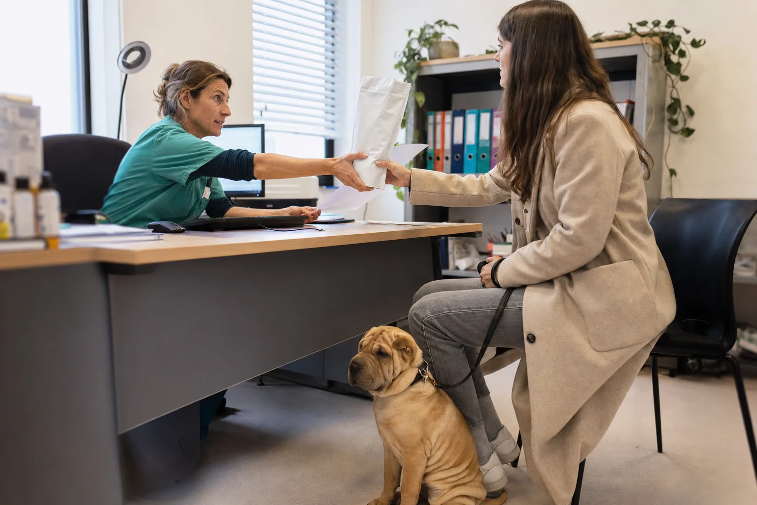 Dans le bureau d’un cabinet vétérinaire, une vétérinaire en tunique verte tend un sac d’aliment blanc et une feuille à une jeune femme en manteau beige, un shar-pei fauve assis à ses pieds.
