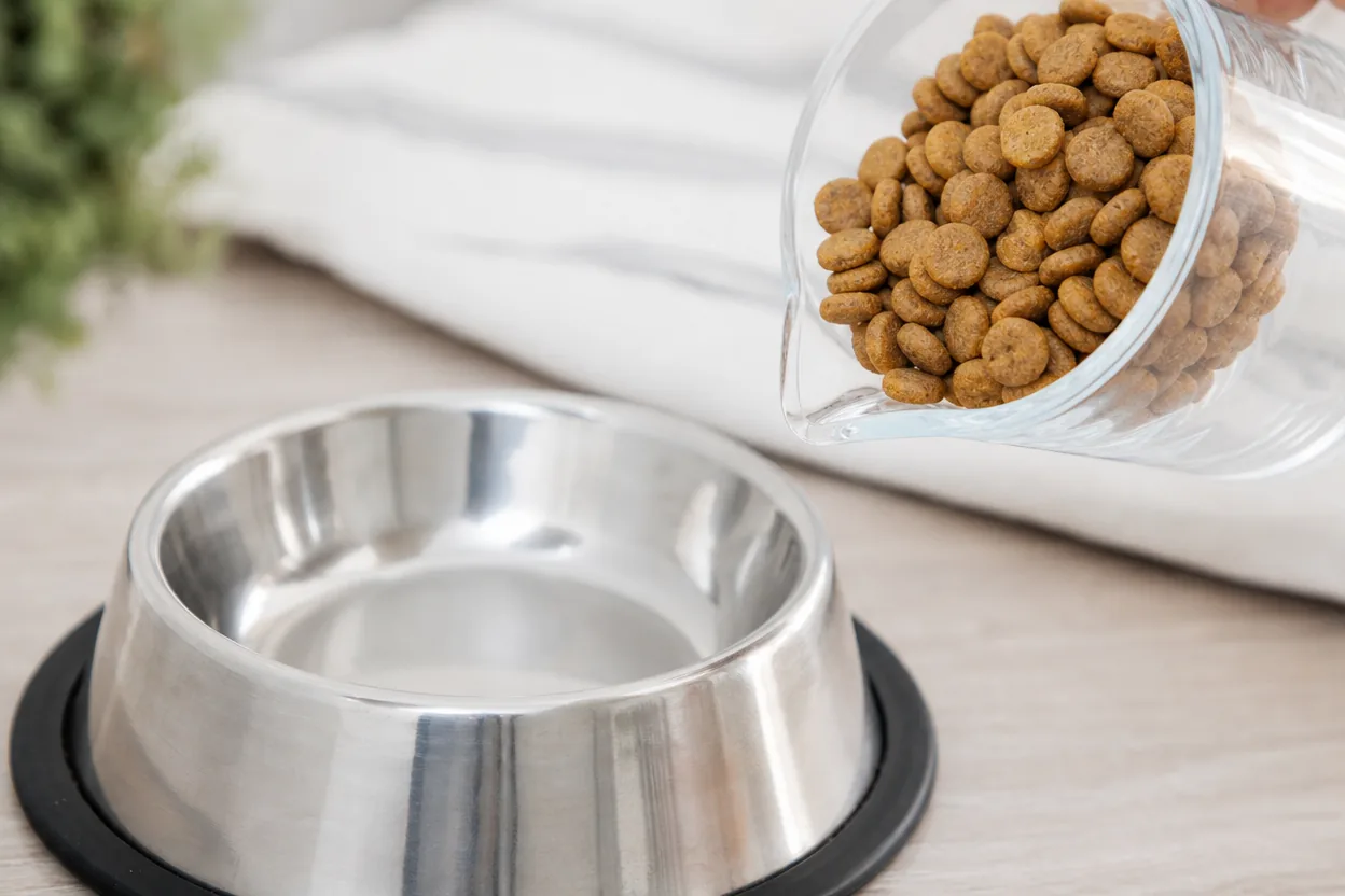 Portion de croquettes mesurée avec un verre doseur au-dessus d'une gamelle