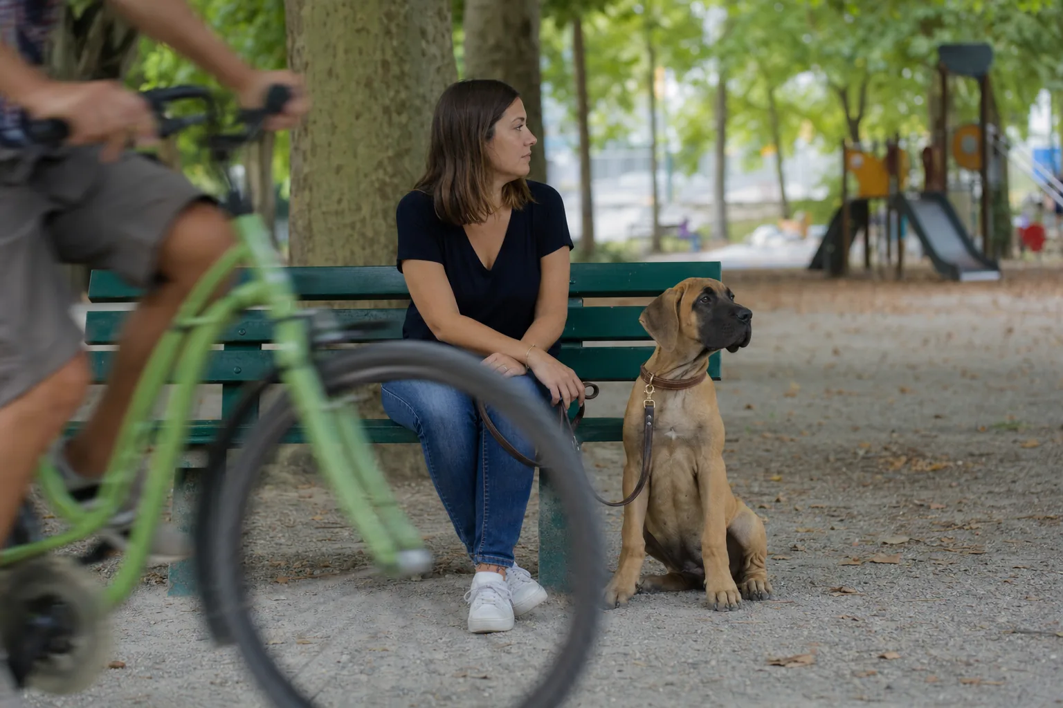 Dans un square aux platanes, un chiot dogue allemand fauve au masque noir, assis en laisse près d’une femme installée sur un banc vert, tandis qu’un cycliste passe flou au premier plan