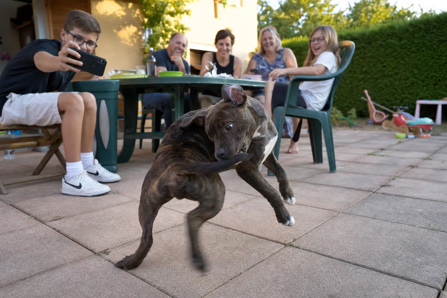 Sur la terrasse d’un pavillon, un chiot staffordshire bull terrier bringé tourne après sa queue pendant qu’une famille rit et qu’un adolescent le filme