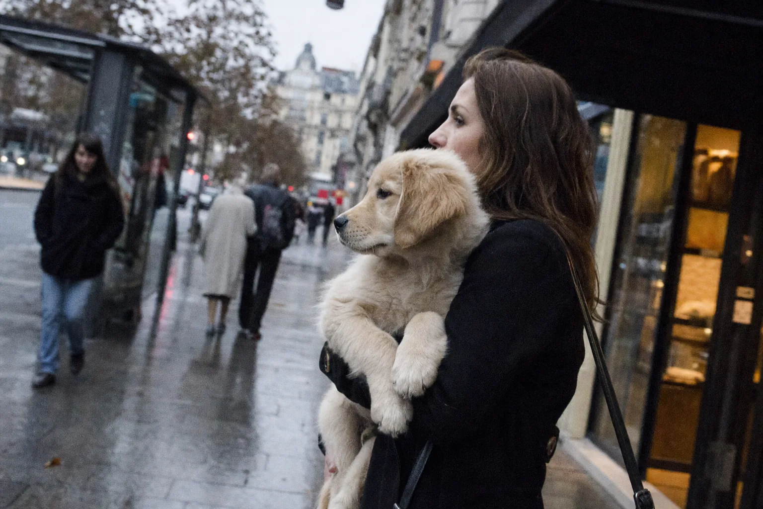 Femme portant son chiot beige dans les bras sur un trottoir de ville, passants et abribus flous derrière elle