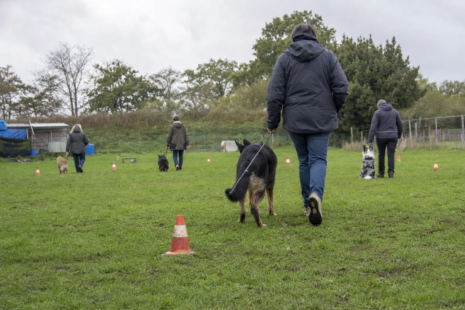 Cours d’éducation canine sur un terrain en herbe, chiens et maîtres vus de dos