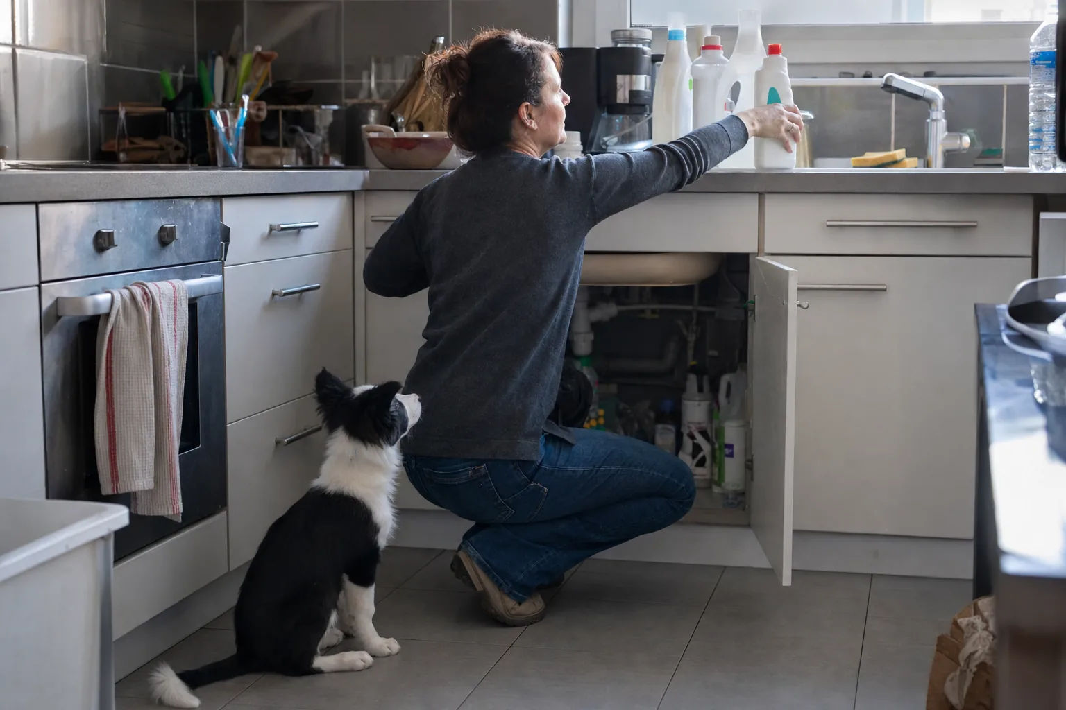 Dans une cuisine, une femme accroupie devant le placard ouvert sous l’évier pose des flacons de produits ménagers sur le plan de travail, un chiot border collie assis derrière elle la regarde faire